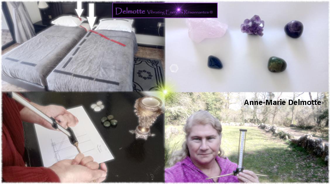 Antenne Lecher Géobiologie Niv 2,3 et 4 et option niv 1