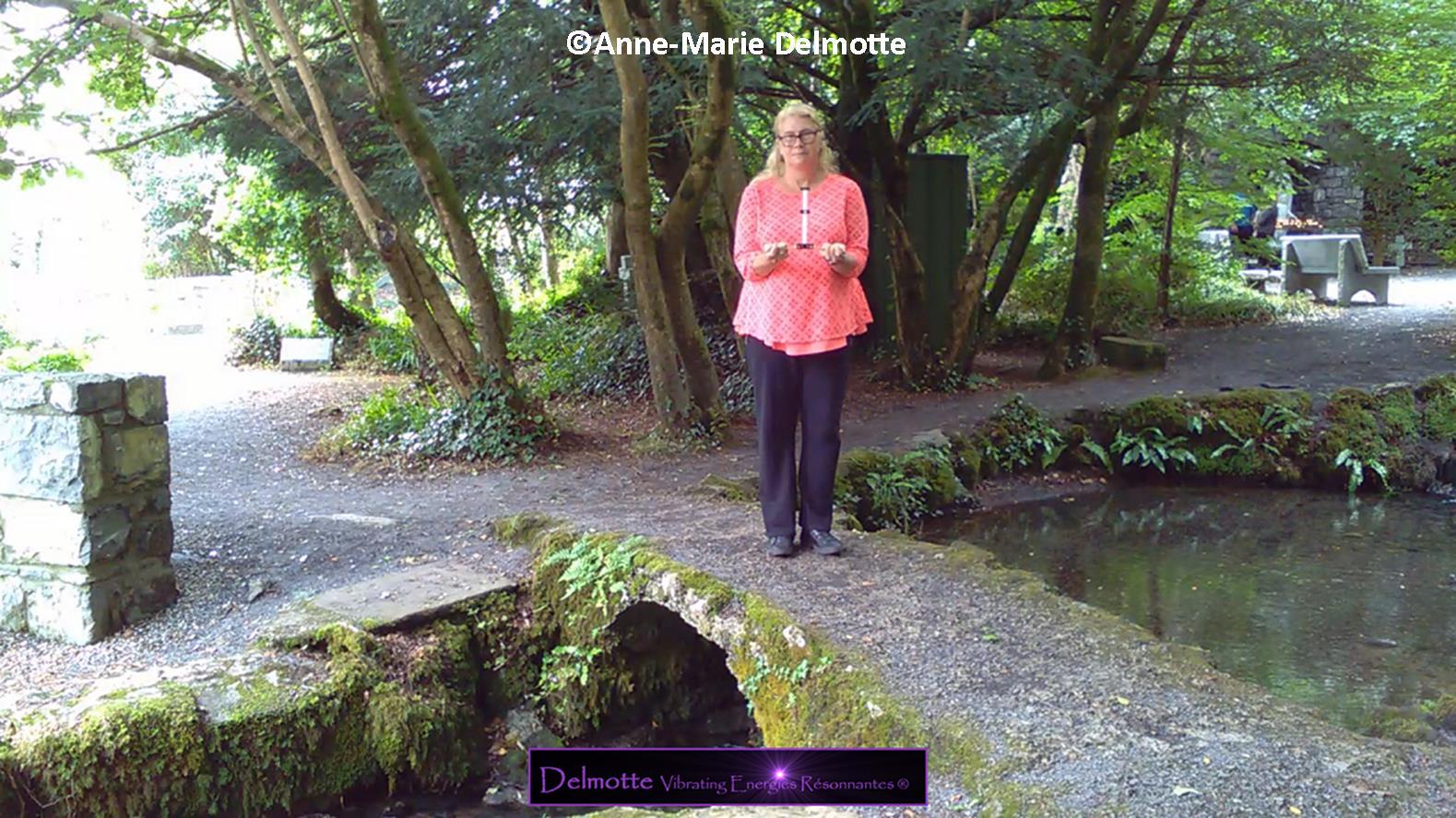 Photo du cours antenne de Lecher geobiologie