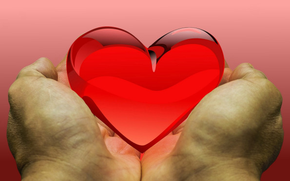antenne Lecher: Cours et soins avec amour et d'attention